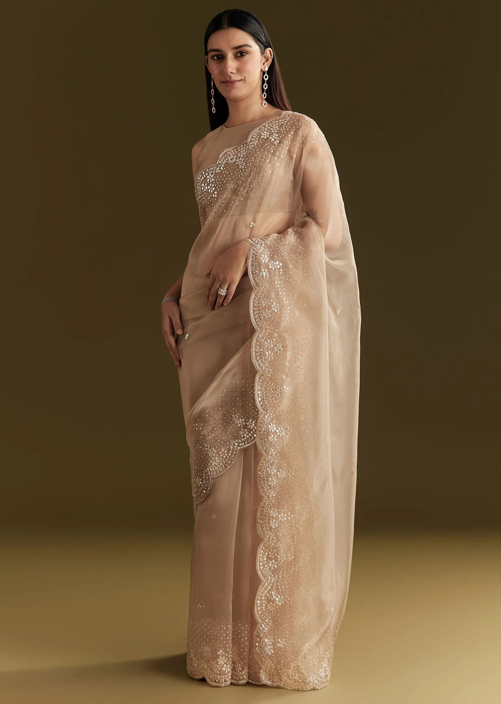 Beige Glass Tissue Embroidered Saree With Scallop Border