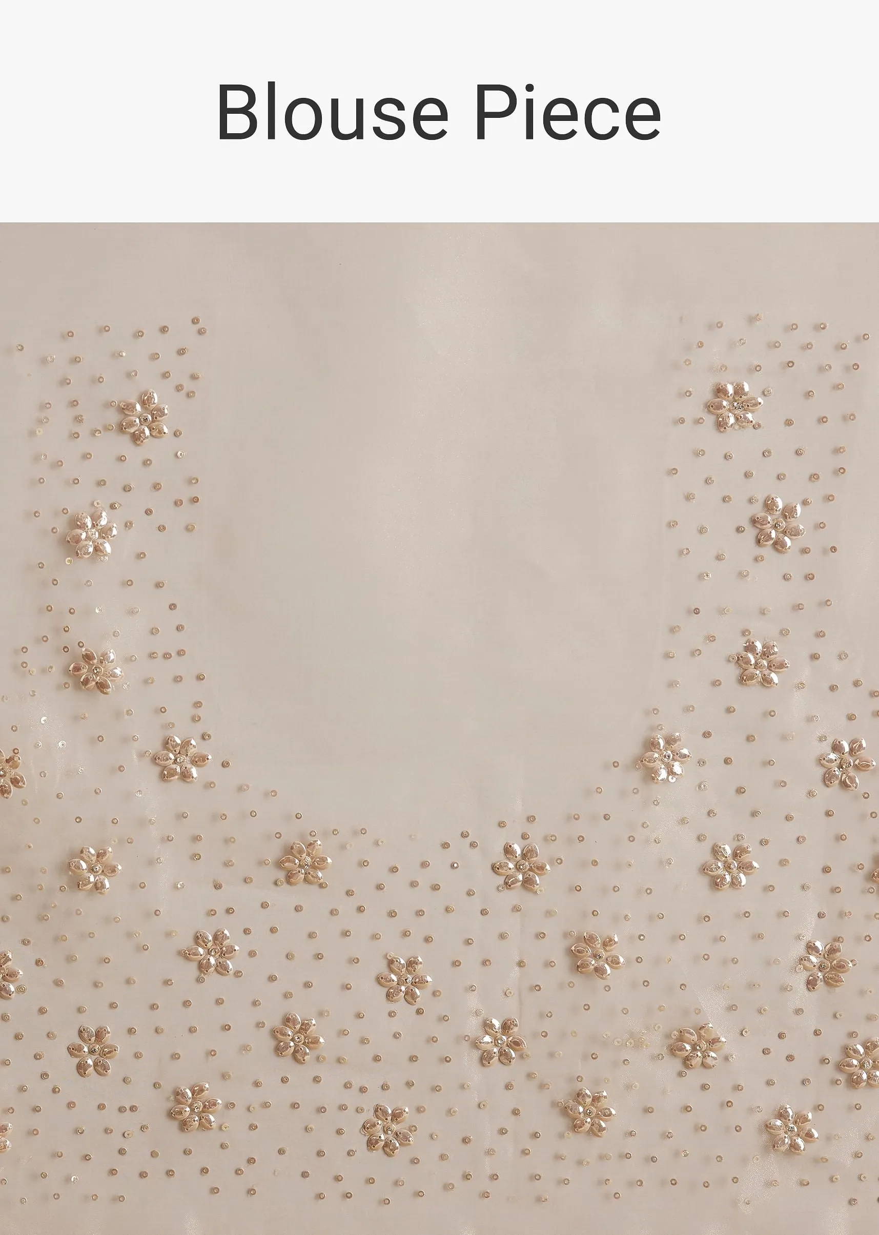 Beige Glass Tissue Embroidered Saree With Scallop Border