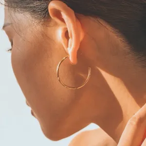Birdie & Fern Studded Hoop Earrings