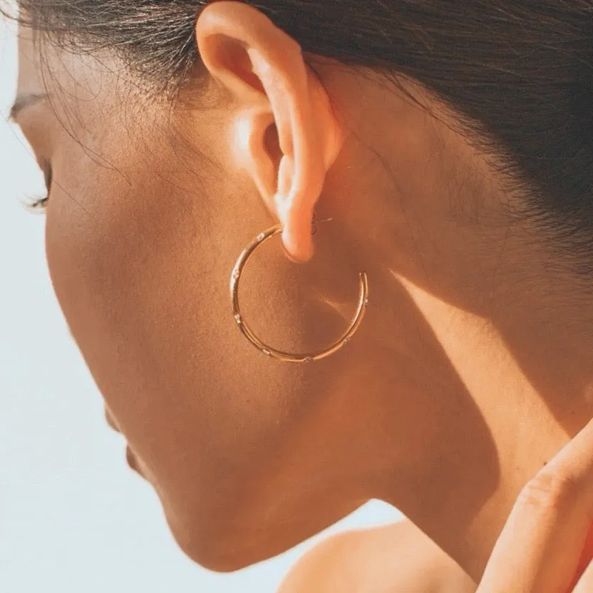 Birdie & Fern Studded Hoop Earrings